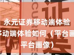 永元证券移动端体验：移动端体验如何（平台画像）