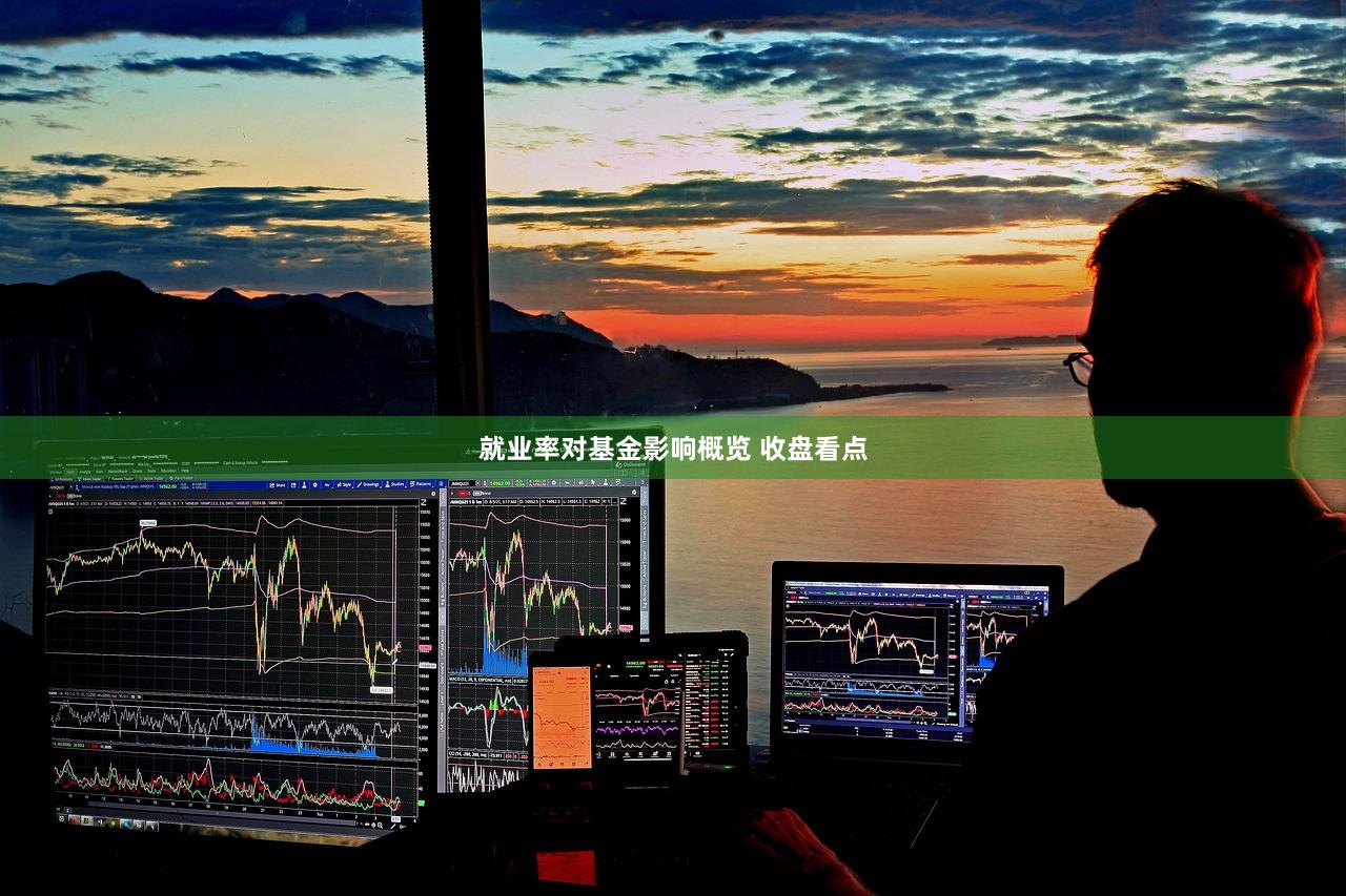 就业率对基金影响概览 收盘看点