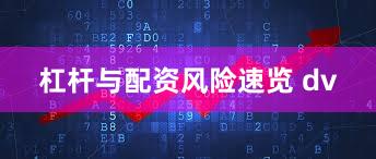 杠杆与配资风险速览 dv