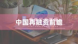 中国再融资前瞻
